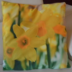 Povlak na polštářek 3D Narcisy