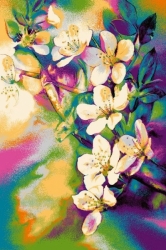 Koberec Funky Ter, šedá, Rozměr koberce 80x120cm
