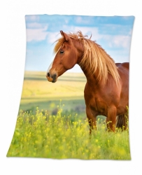 Deka Kůň horse