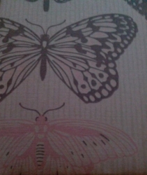 Závěsy Motýlci Pink, ukázka barev motýlků